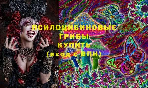 марки lsd Богородицк